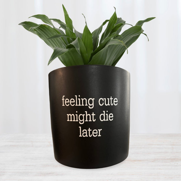 mad plant ladies pun pot- emotional support plant