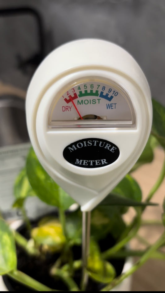 Moisture Meter - Mad Plant Ladies
