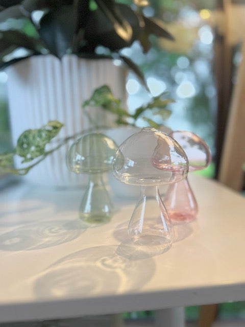 Three glass mushroom-shaped propagation vases on a table with a blurred background
