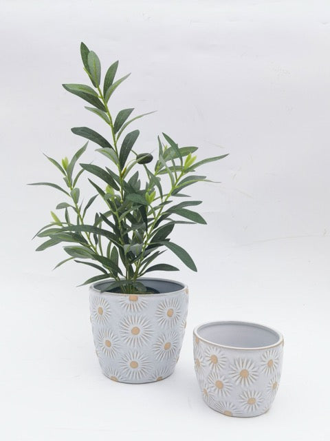 Potted plant with decorative white ceramic pots with daisy detail on a white background
