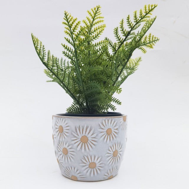 Potted plant in a decorative ceramic white pot with embossed daisy pot