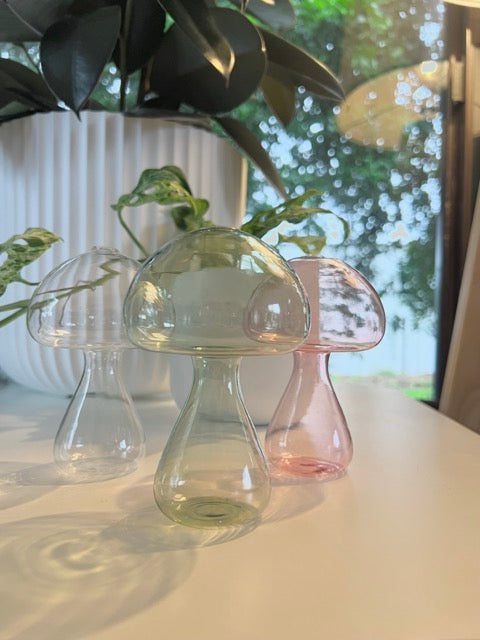 Three glass mushroom-shaped propagation jars on a surface with a blurred indoor background