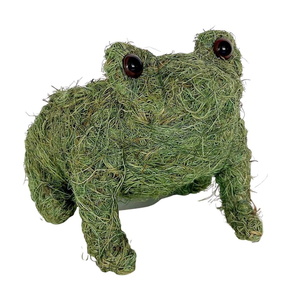 Husk frog sculpture planter on a white background