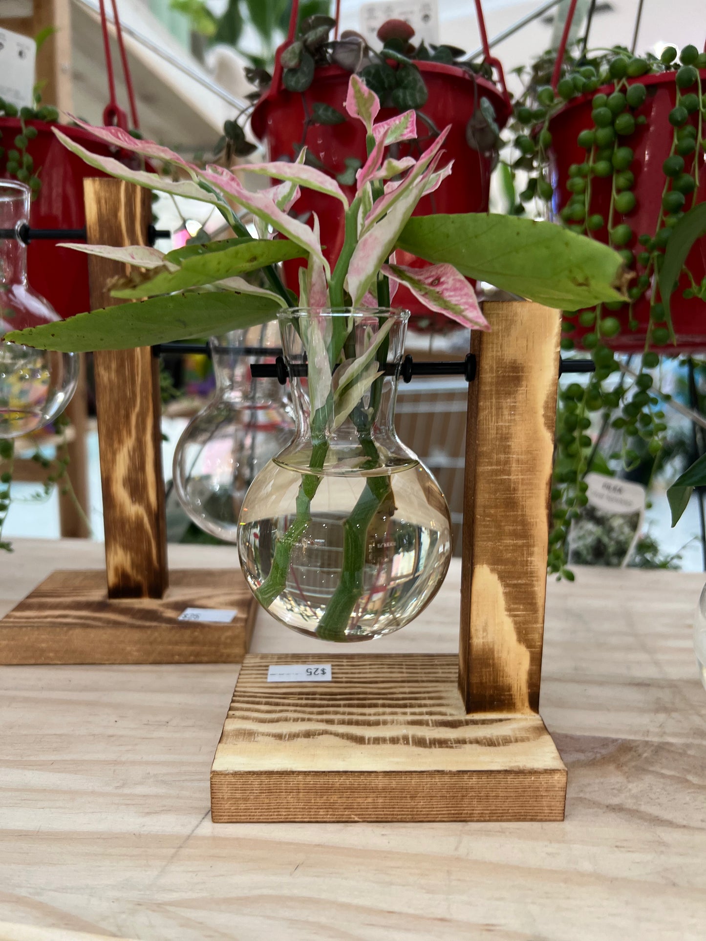 *NEW* Single Hanging Propagation Vase