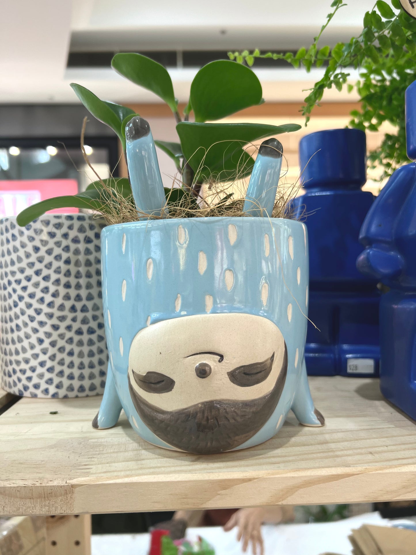 sloth planter, sloth pot, indoor plant pots, animal plant pots, indoor plant pots, brisbane indoor plants