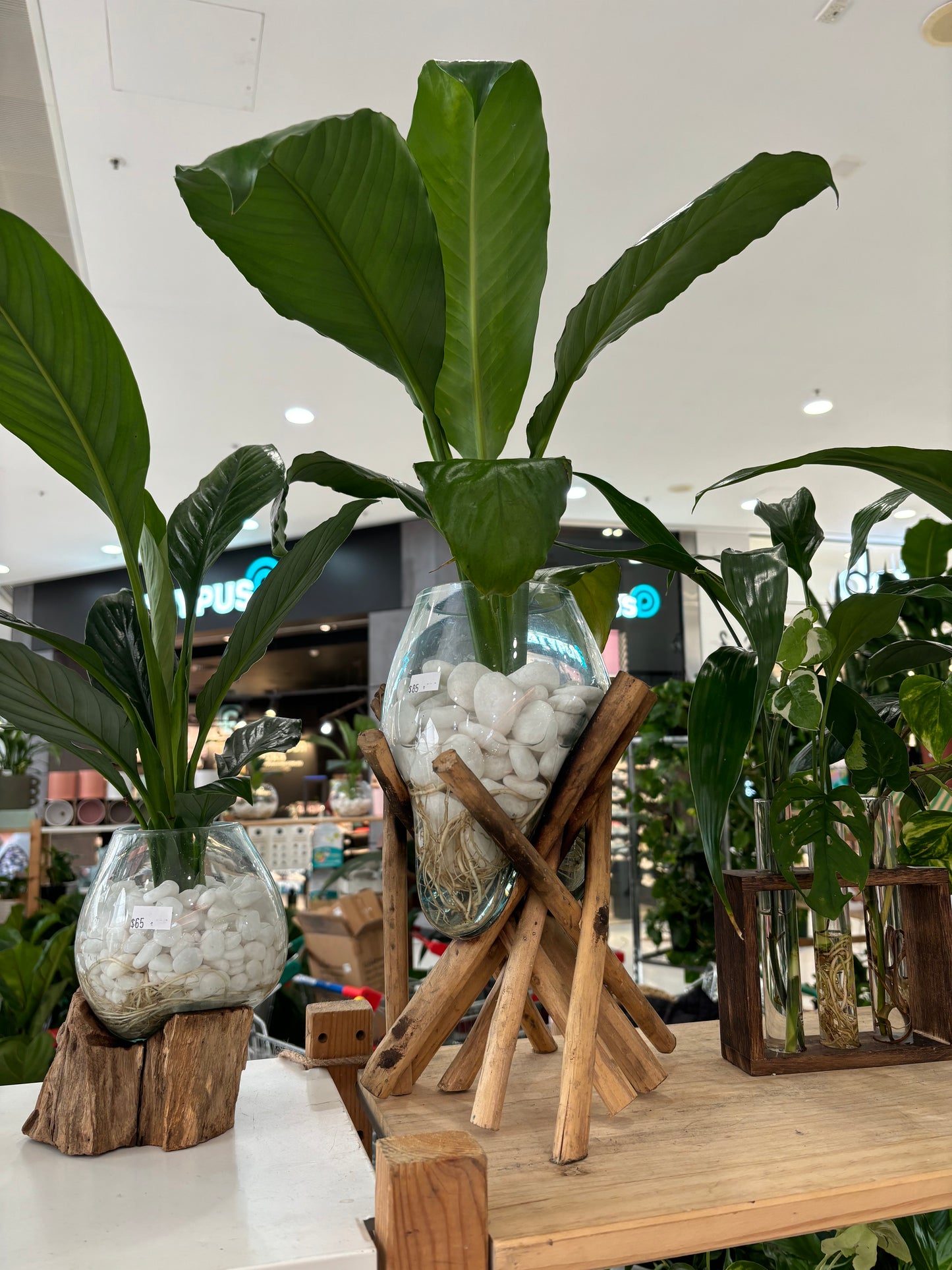 Stick Slump Bowl - Empty