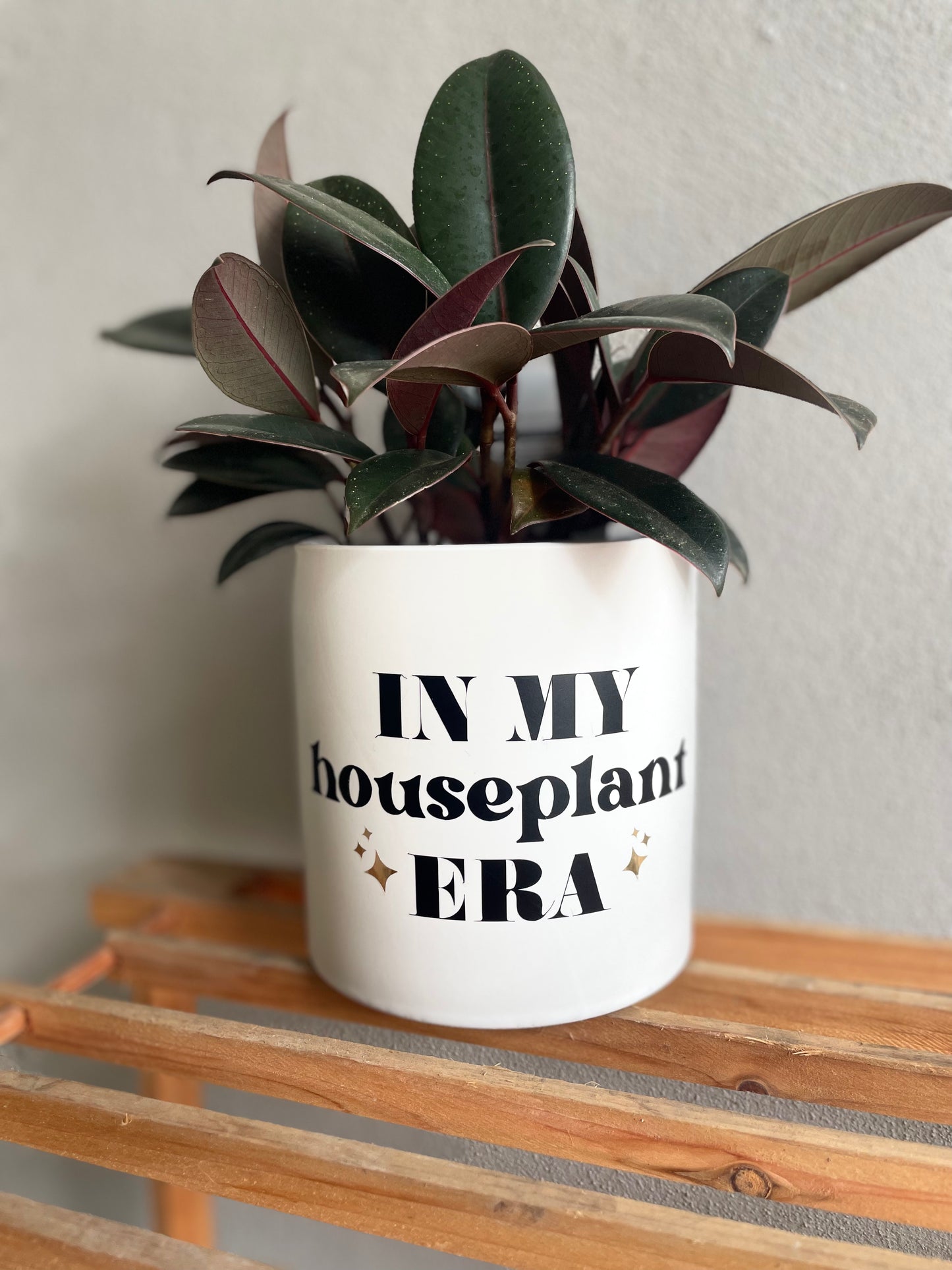 *NEW* In my houseplant era Planter