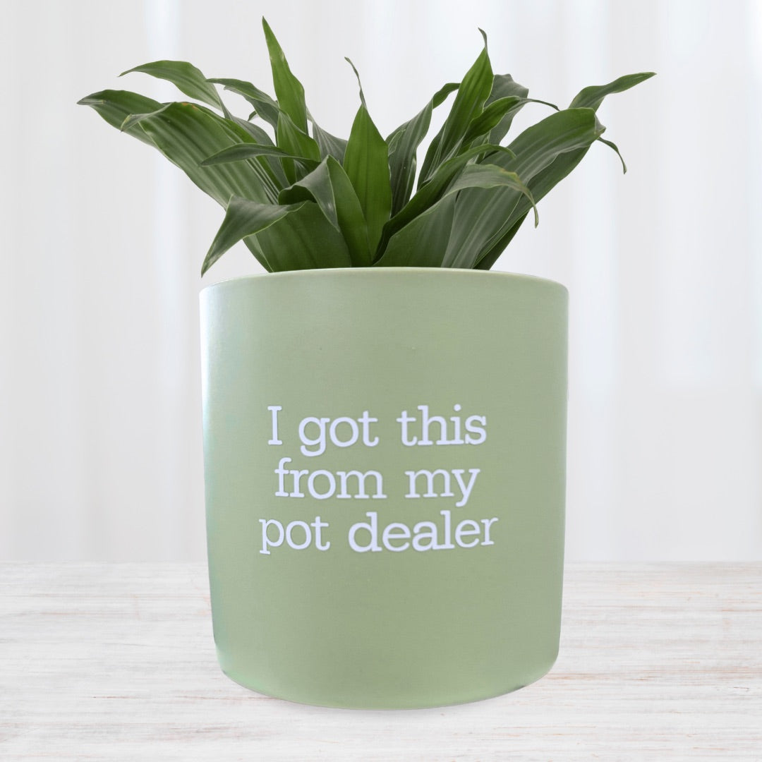 FUN plant pots, gifts for plant lovers, gifts for gardeners, funny plant pots, novelty plant pots, indoor plant pot,garden pots in Brisbane, plant pots Brisbane, plant pots near me, indoor planter pot, pot planter, indoor plant pots Brisbane, interesting plant pot, mad plant ladies,