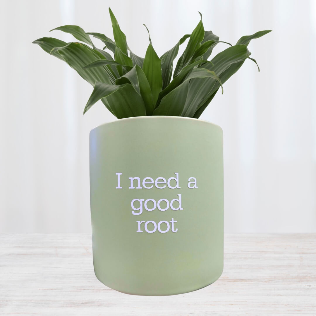 FUN plant pots, gifts for plant lovers, gifts for gardeners, funny plant pots, novelty plant pots, indoor plant pot,garden pots in Brisbane, plant pots Brisbane, plant pots near me, indoor planter pot, pot planter, indoor plant pots Brisbane, interesting plant pot,