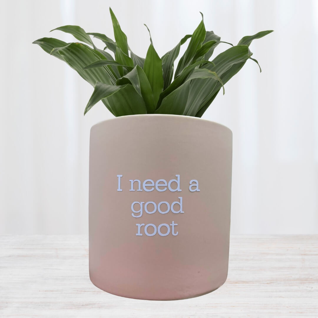 FUN plant pots, gifts for plant lovers, gifts for gardeners, funny plant pots, novelty plant pots, indoor plant pot,garden pots in Brisbane, plant pots Brisbane, plant pots near me, indoor planter pot, pot planter, indoor plant pots Brisbane, interesting plant pot,