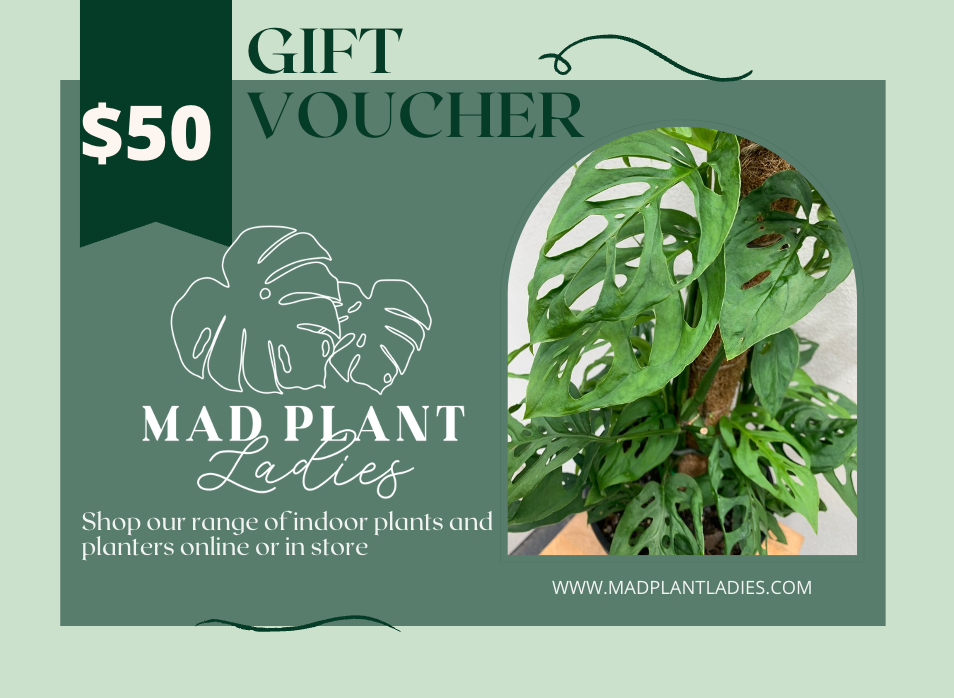 Gift Voucher - Mad Plant Ladies