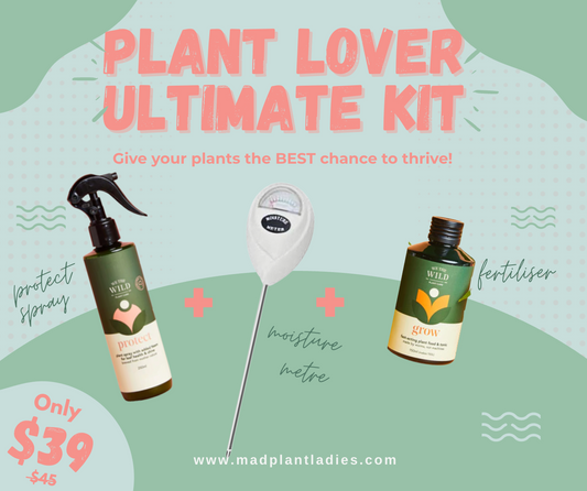 Plant Lover Ultimate Kit