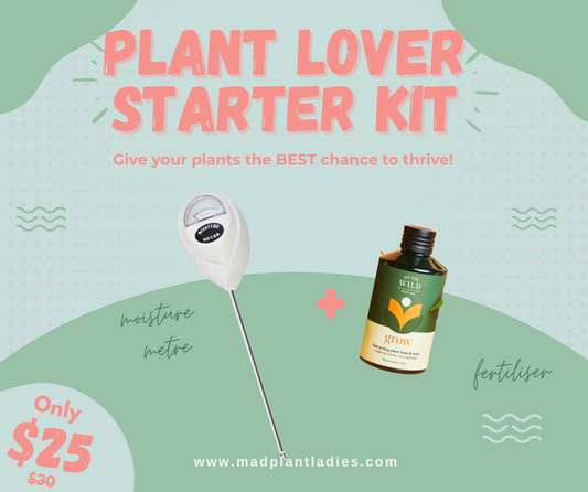 Plant Lover Starter Kit