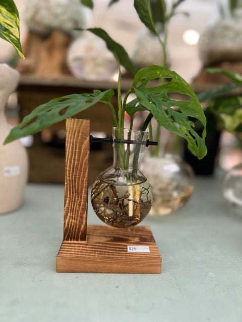 timber stand with black road and hanging glass jar with plant cuttings