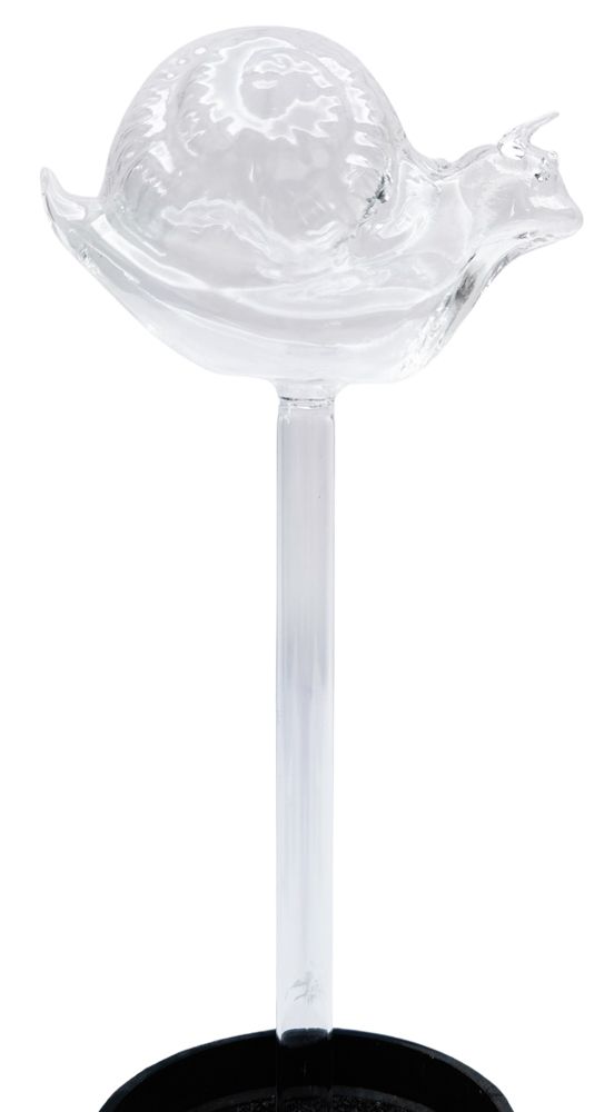 FUN plant pots, gifts for plant lovers, gifts for gardeners, funny plant pots, novelty plant pots, indoor plant pot, garden pots in Brisbane, plant pots Brisbane, plant pots near me, indoor planter pot, pot planter, indoor plant pots Brisbane, interesting plant pot, mad plant ladies, 
urban products