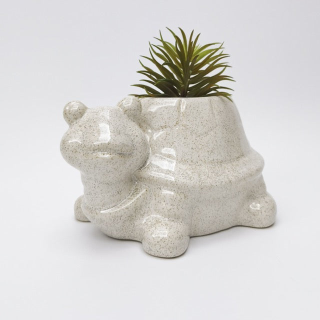 Ceramic turtle planter with a small plant on a white background
