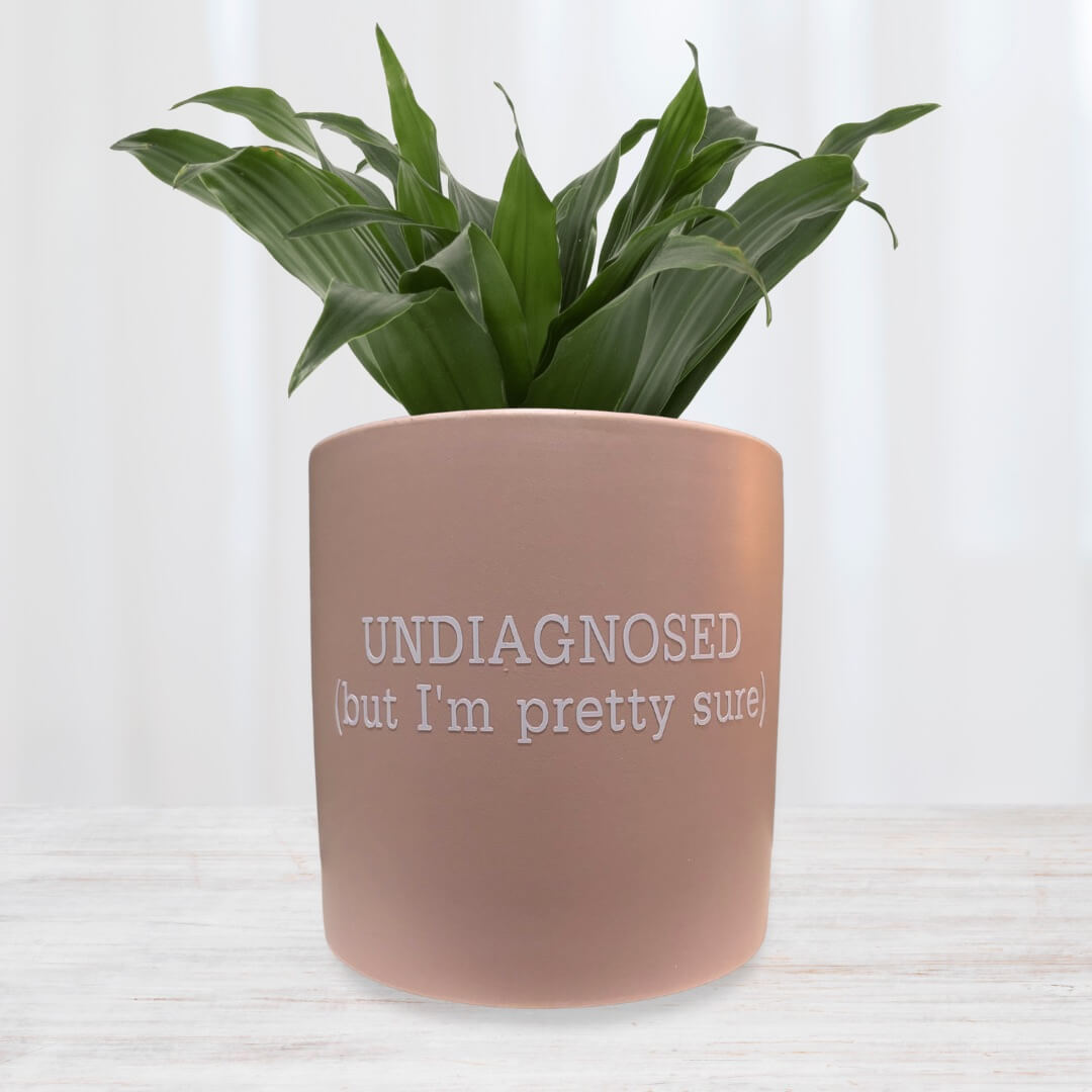 FUN plant pots, gifts for plant lovers, gifts for gardeners, funny plant pots, novelty plant pots, indoor plant pot,garden pots in Brisbane, plant pots Brisbane, plant pots near me, indoor planter pot, pot planter, indoor plant pots Brisbane, interesting plant pot,