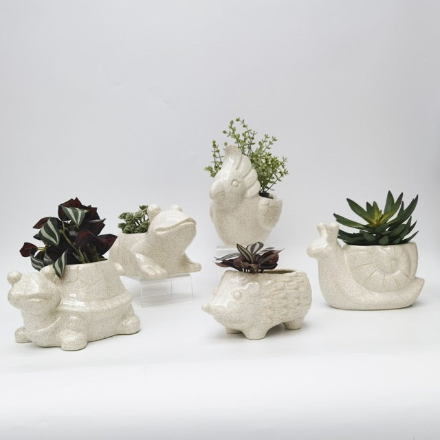 White animal planters with plants on white background