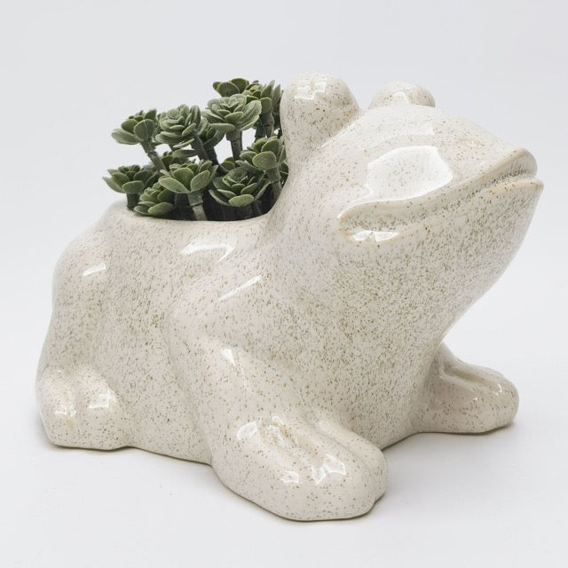 Ceramic frog planter with succulents on a light gray background