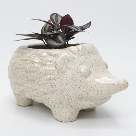 hedgehog-shaped ceramic planter with a succulent on a white background