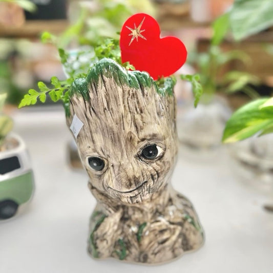 FUN plant pots, gifts for plant lovers, gifts for gardeners, funny plant pots, novelty plant pots, indoor plant pot, garden pots in Brisbane, plant pots Brisbane, plant pots near me, indoor planter pot, pot planter, indoor plant pots Brisbane, interesting plant pot, mad plant ladies,