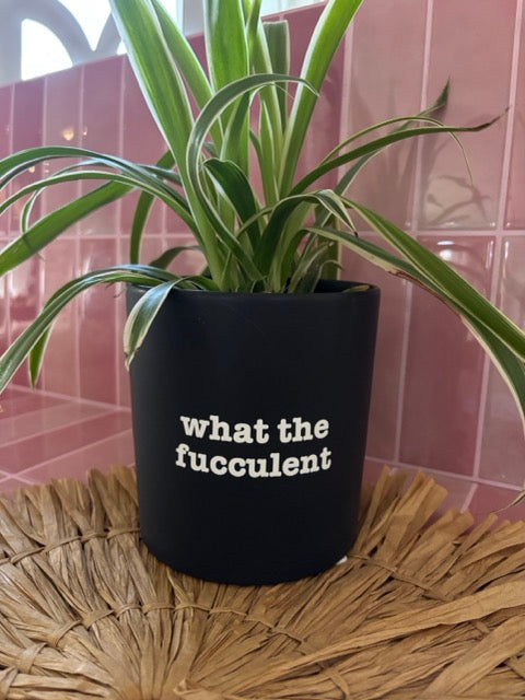black pot with 'what the fucculent' in white text