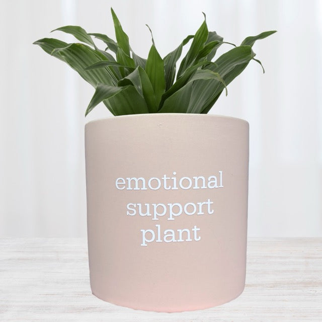 plant pot that shows emotions emotional support plant' Pun Pot – Mad Plant Ladies