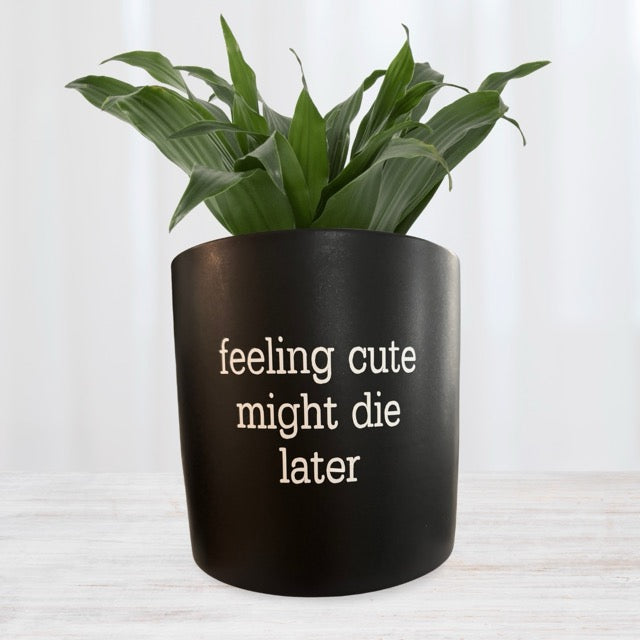 'feeling cute might die later' Pun Pot black, FUN plant pots, gifts for plant lovers, gifts for gardeners, funny plant pots, novelty plant pots, indoor plant pot, garden pots in Brisbane, plant pots Brisbane, plant pots near me, indoor planter pot, pot planter, indoor plant pots Brisbane, interesting plant pot, mad plant ladies,