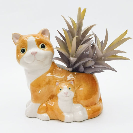 FUN plant pots, gifts for plant lovers, gifts for gardeners, funny plant pots, novelty plant pots, indoor plant pot,garden pots in Brisbane, plant pots Brisbane, plant pots near me, indoor planter pot, pot planter, indoor plant pots Brisbane, interesting plant pot, urban products