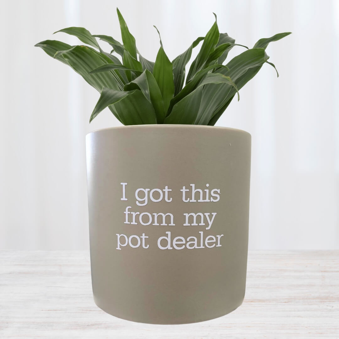 FUN plant pots, gifts for plant lovers, gifts for gardeners, funny plant pots, novelty plant pots, indoor plant pot,garden pots in Brisbane, plant pots Brisbane, plant pots near me, indoor planter pot, pot planter, indoor plant pots Brisbane, interesting plant pot, pun pots, mad plant ladies