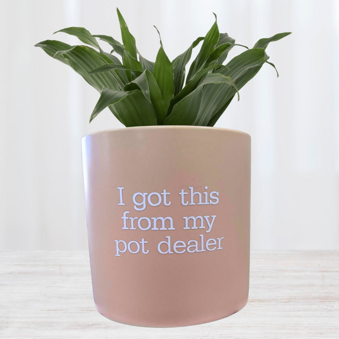 FUN plant pots, gifts for plant lovers, gifts for gardeners, funny plant pots, novelty plant pots, indoor plant pot,garden pots in Brisbane, plant pots Brisbane, plant pots near me, indoor planter pot, pot planter, indoor plant pots Brisbane, interesting plant pot, mad plant ladies,