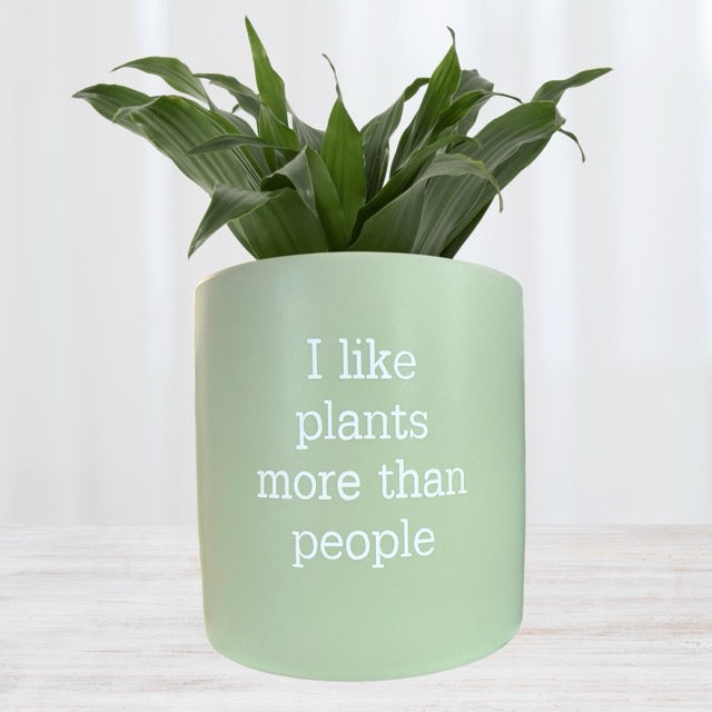 FUN plant pots, gifts for plant lovers, gifts for gardeners, funny plant pots, novelty plant pots, indoor plant pot, garden pots in Brisbane, plant pots Brisbane, plant pots near me, indoor planter pot, pot planter, indoor plant pots Brisbane, interesting plant pot, mad plant ladies,
