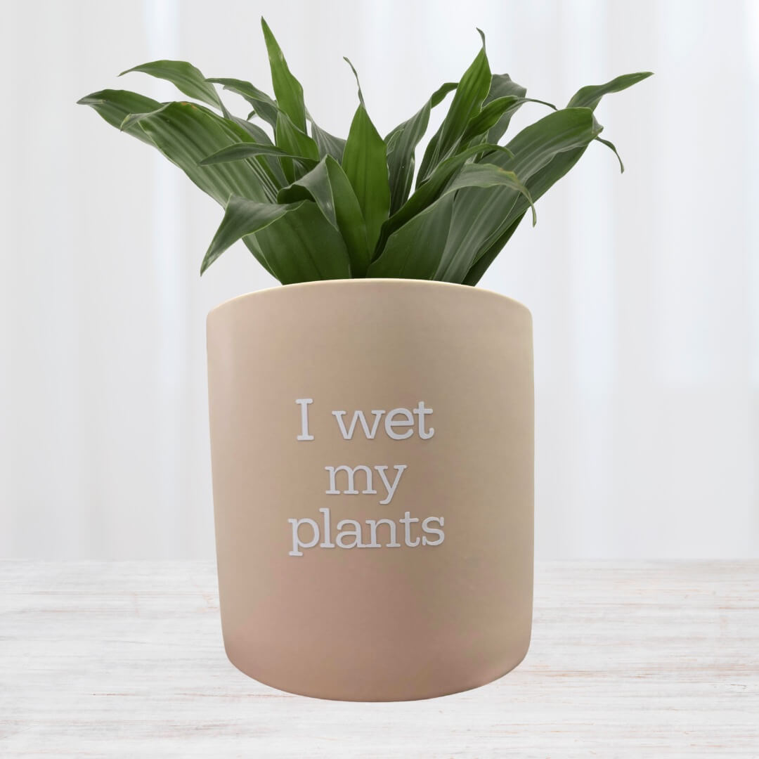FUN plant pots, gifts for plant lovers, gifts for gardeners, funny plant pots, novelty plant pots, indoor plant pot,garden pots in Brisbane, plant pots Brisbane, plant pots near me, indoor planter pot, pot planter, indoor plant pots Brisbane, interesting plant pot,