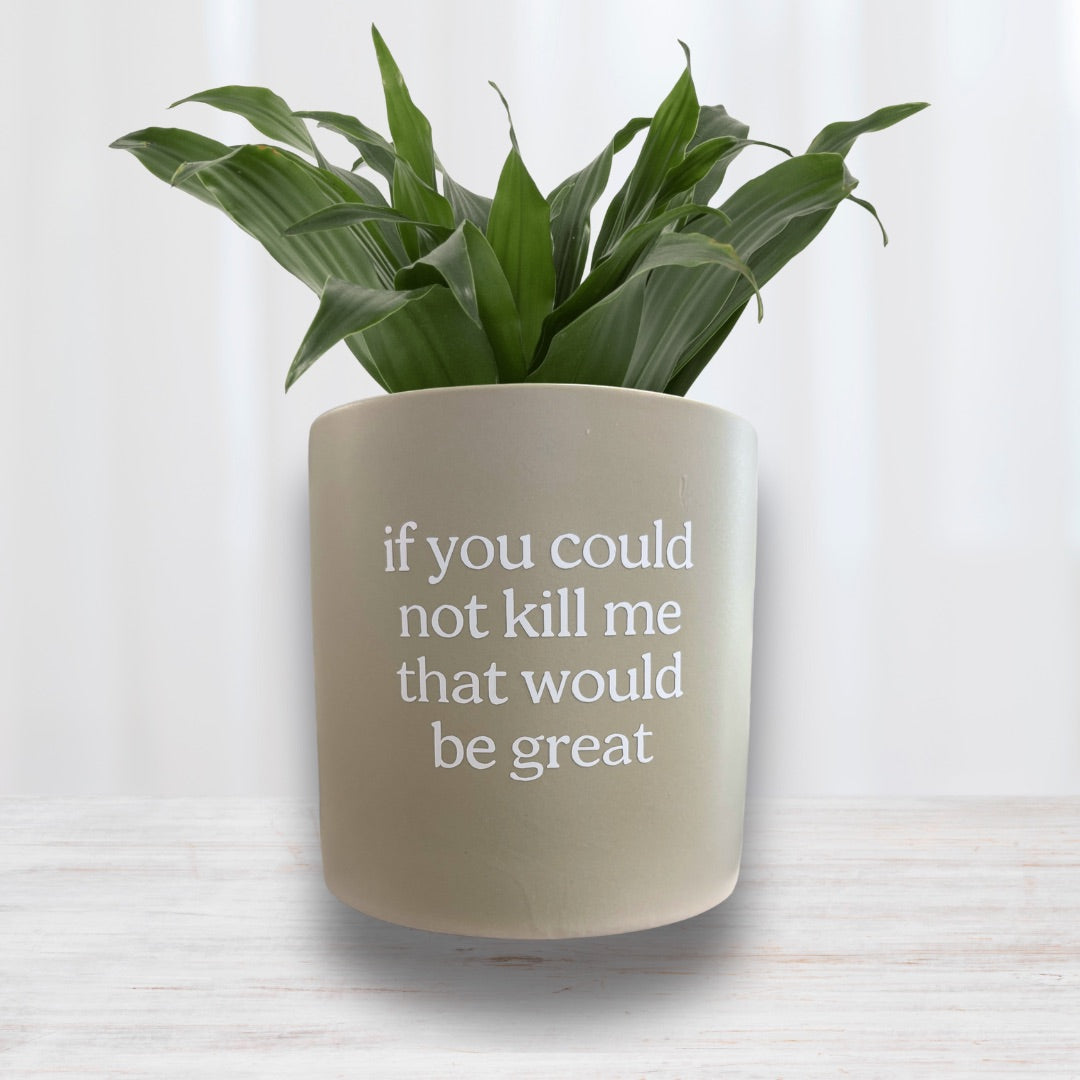 FUN plant pots, gifts for plant lovers, gifts for gardeners, funny plant pots, novelty plant pots, indoor plant pot, garden pots in Brisbane, plant pots Brisbane, plant pots near me, indoor planter pot, pot planter, indoor plant pots Brisbane, interesting plant pot, mad plant ladies,