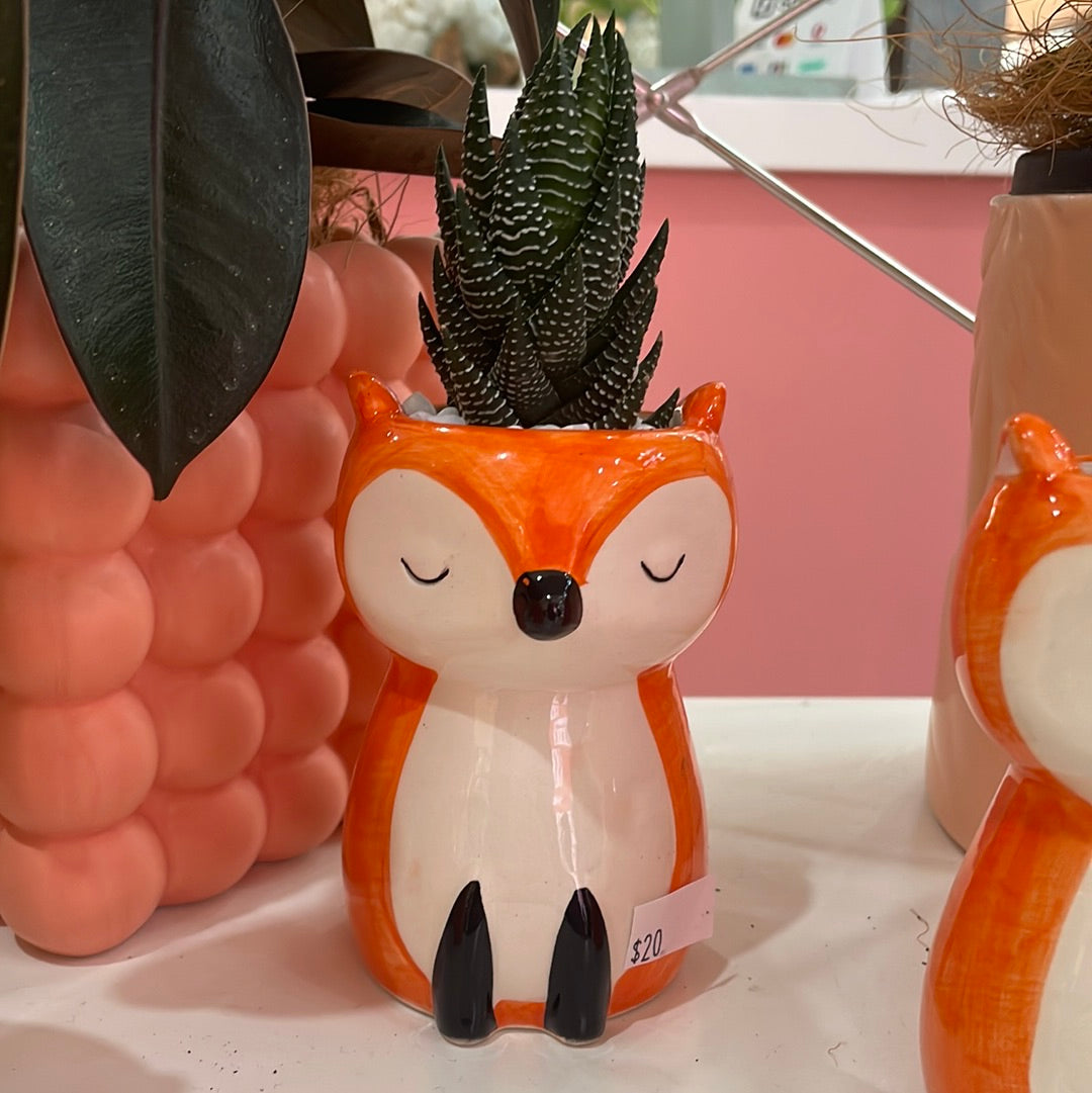 Fox Pot