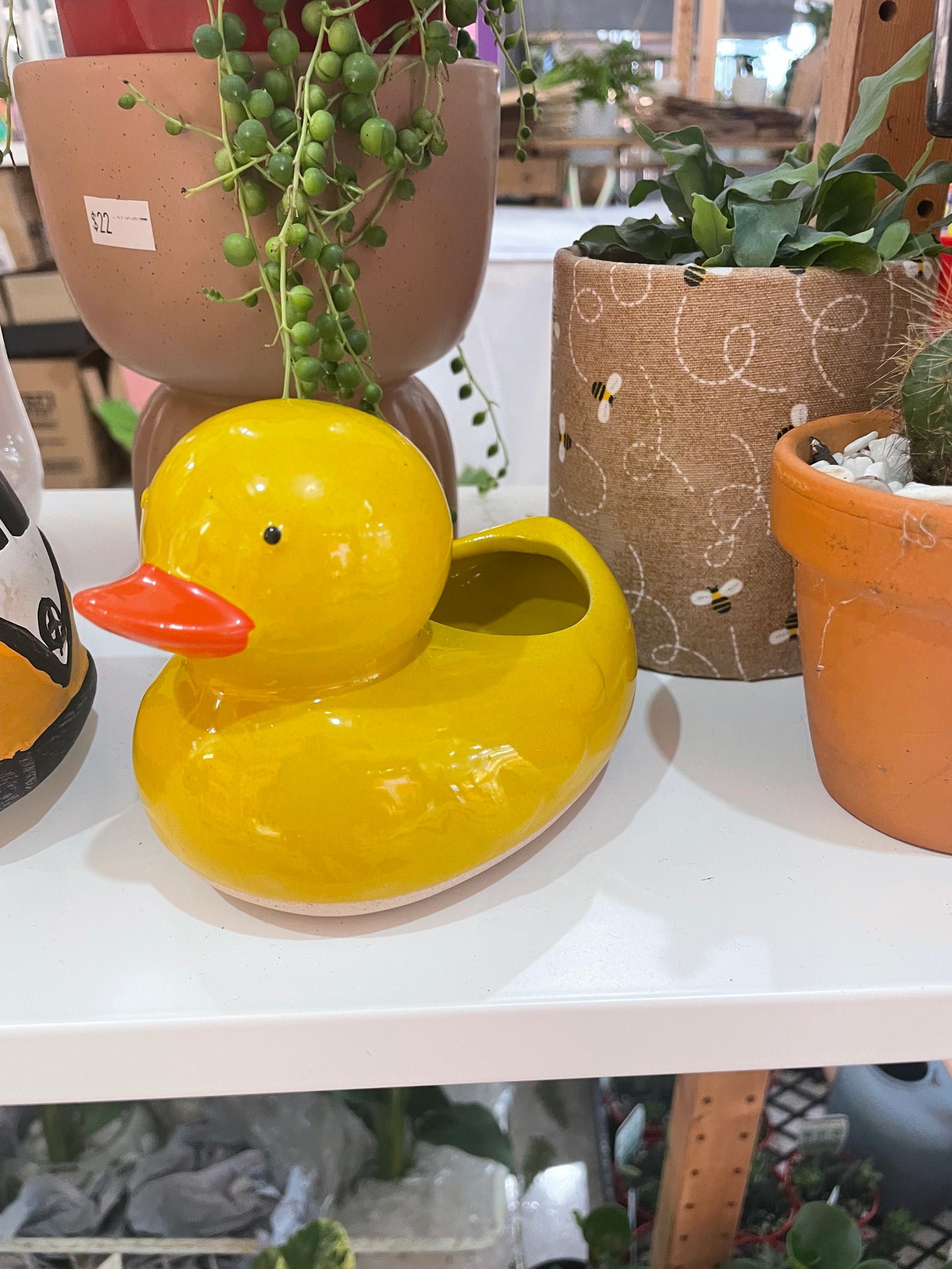 *NEW* Duck Planter