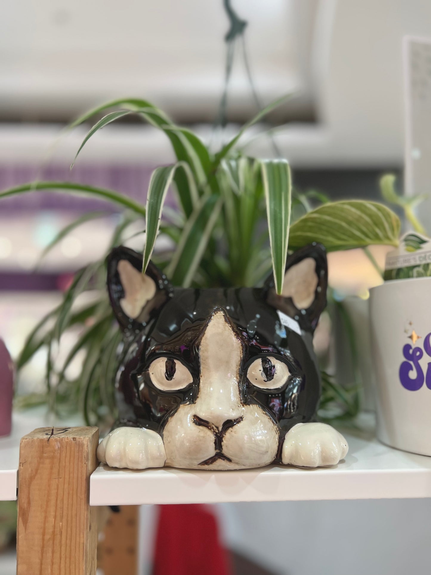 *NEW* Cat Head Planter