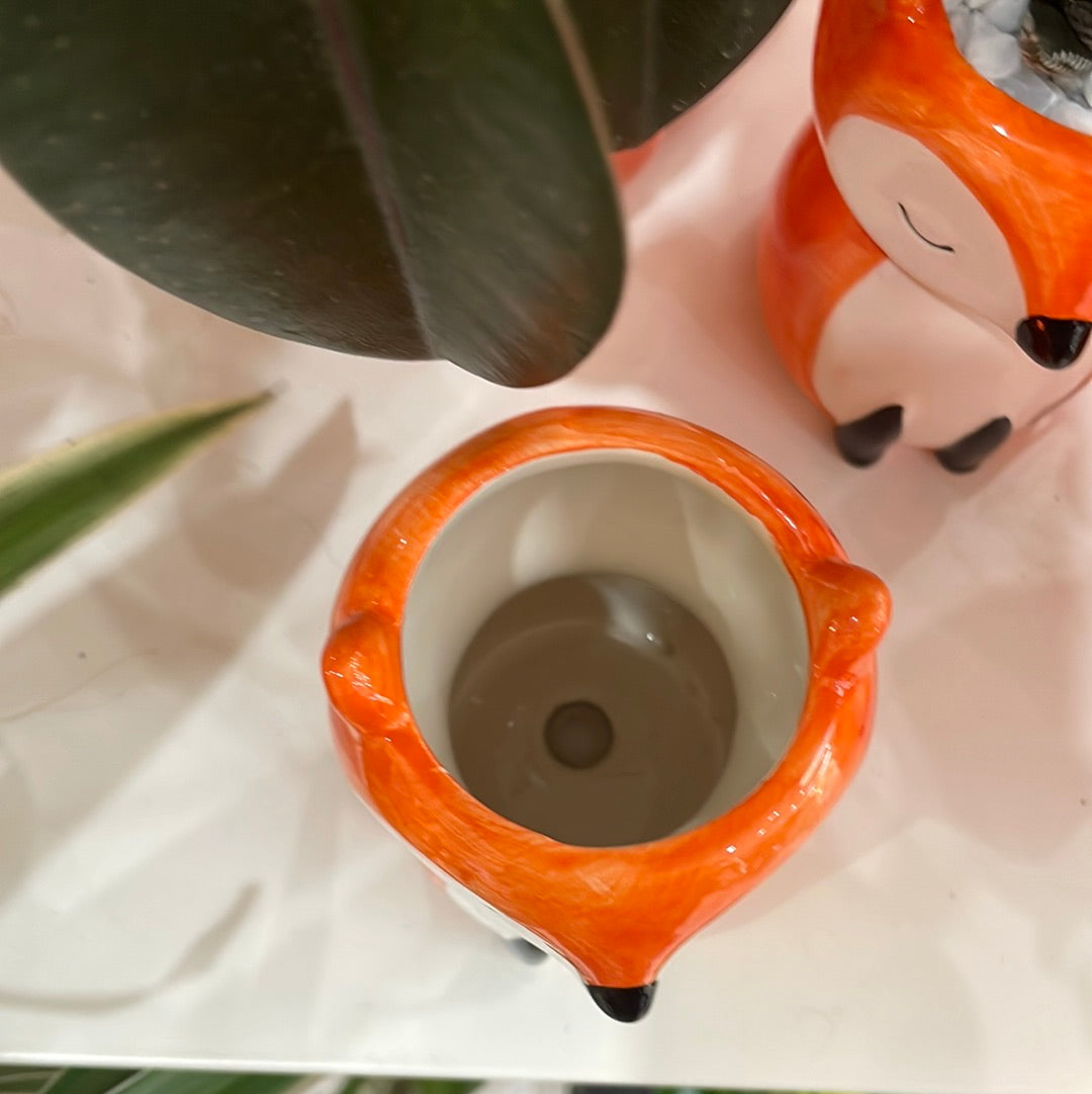 Fox Pot