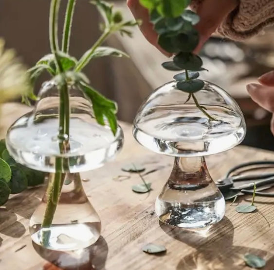 A clear glass mushroom-shaped propagation vase placed on a wooden surface, with water and a green plant inside.
