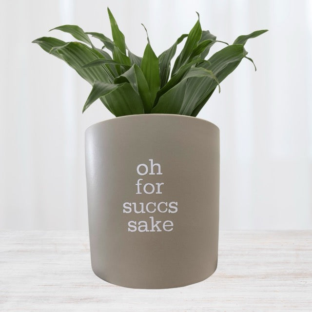FUN plant pots, gifts for plant lovers, gifts for gardeners, funny plant pots, novelty plant pots, indoor plant pot, garden pots in Brisbane, plant pots Brisbane, plant pots near me, indoor planter pot, pot planter, indoor plant pots Brisbane, interesting plant pot, mad plant ladies,