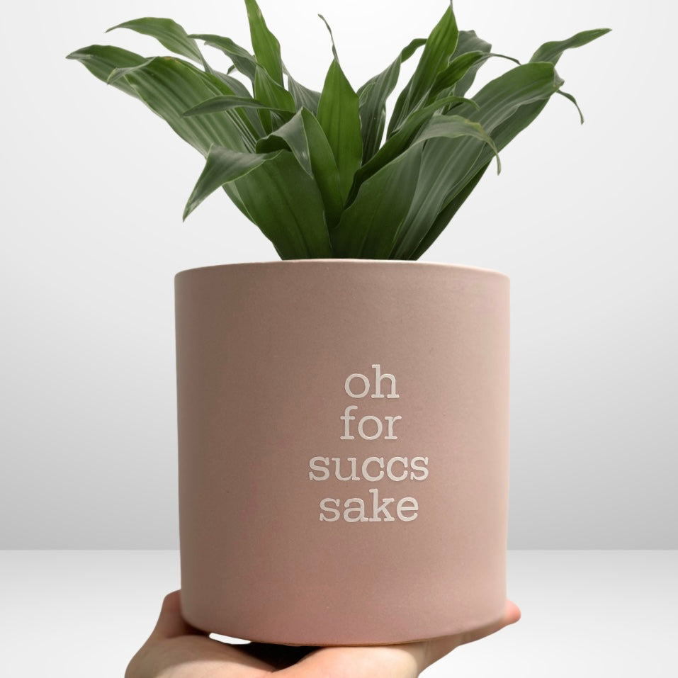 A beige ceramic planter with the text 'oh for succs sake' printed on the side, holding a green plant.