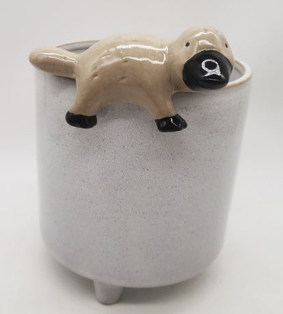 Platypus pot hanger – quirky Australian animal plant accessory for indoor planters