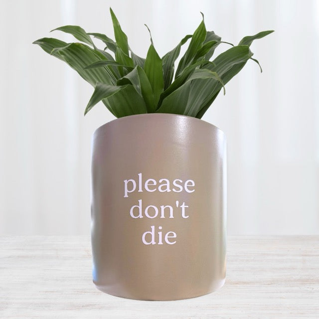 funny plant pots please don't die' Pun Pot – Mad Plant Ladies