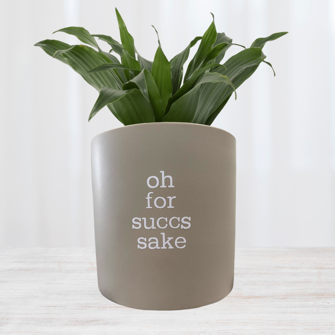 'oh for succs sake' Pun Pot