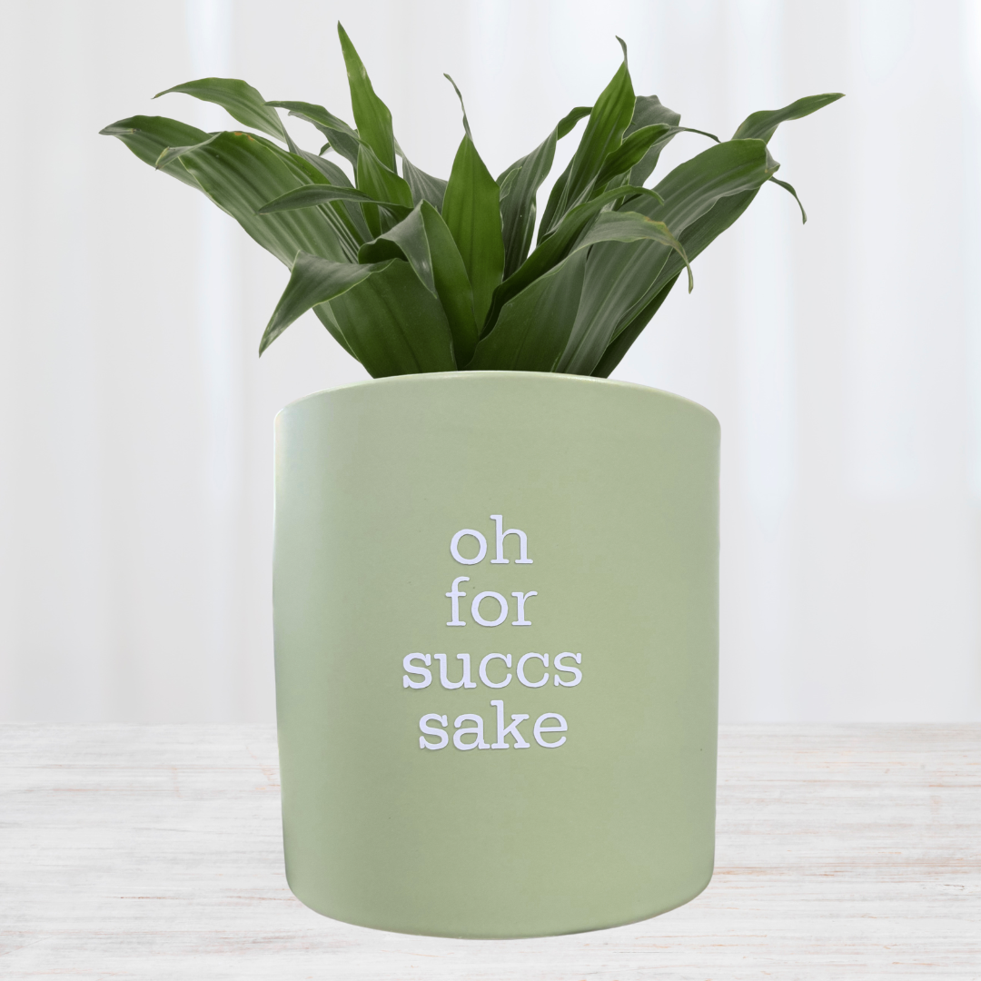 'oh for succs sake' Pun Pot