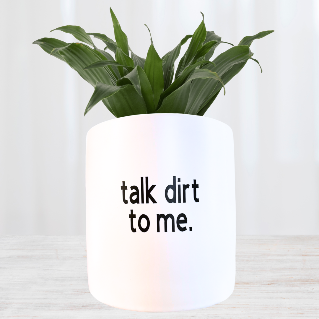 'talk dirt to me' Pun Pot