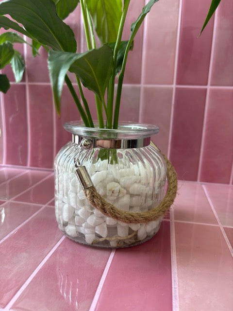 Glass vase with pebbles and rope with peace lily plant in water