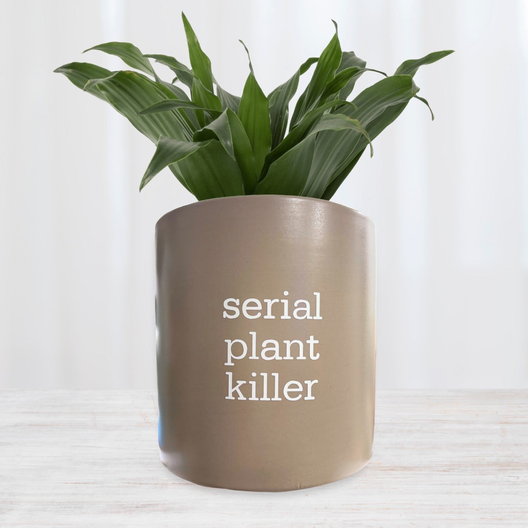 indoor plant serial killer Serial Plant Killer' Planter – Mad Plant Ladies