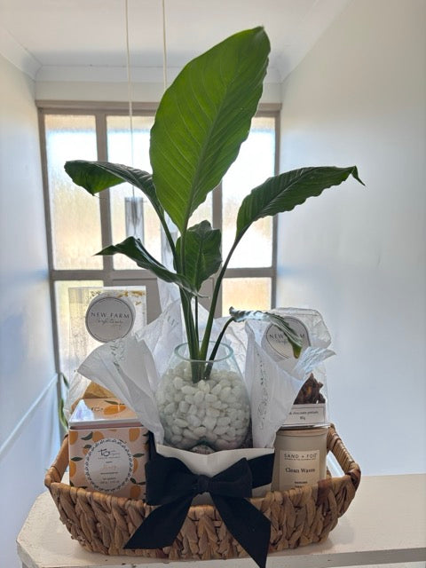 Gift basket with a plant, candles, and other items on a table.