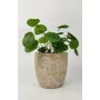 Molly Planter Beige